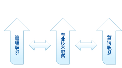 人才理念-第二阶段